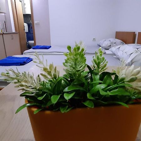 Apartment Riki 3 Near Bus Station 오흐리드 외부 사진