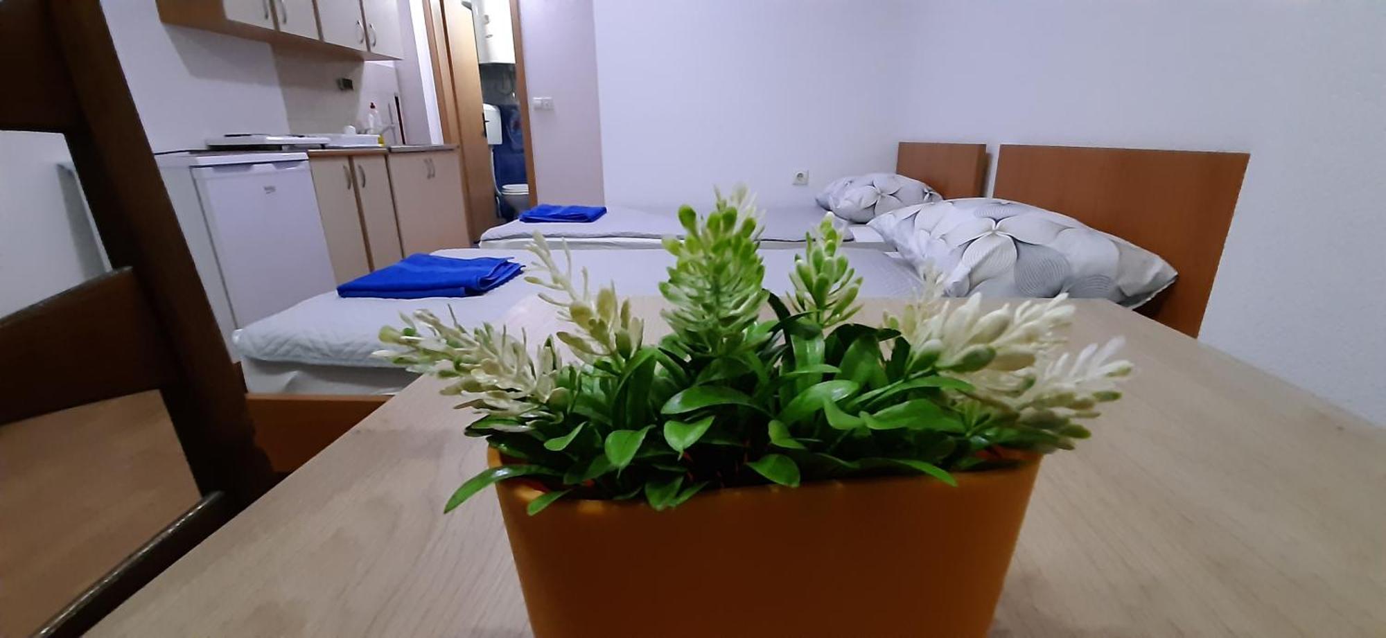 Apartment Riki 3 Near Bus Station 오흐리드 외부 사진